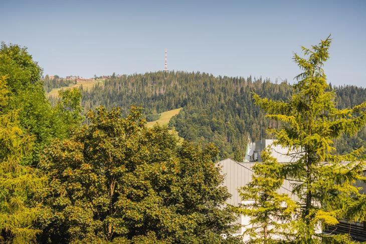 Апартаменти Visitzakopane - Gold Krupowki Закопане